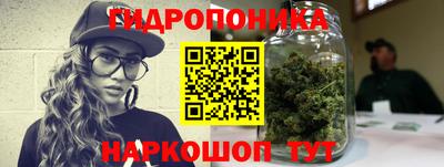 мет Дубна