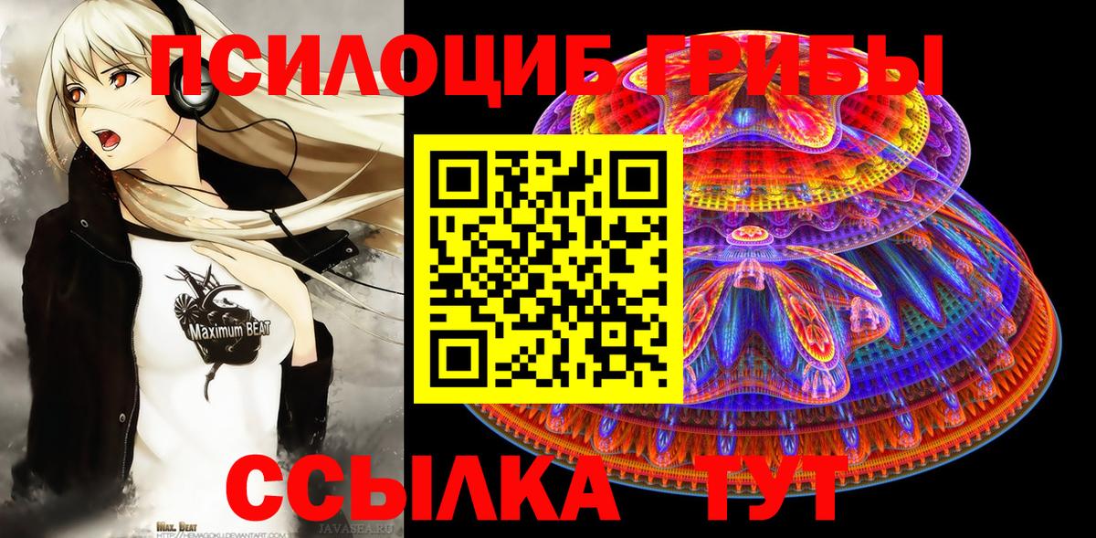Псилоцибиновые грибы мухоморы  Псилоцибиновые грибы MAGIC MUSHROOMS  Вход с VPN  Минеральные Воды 